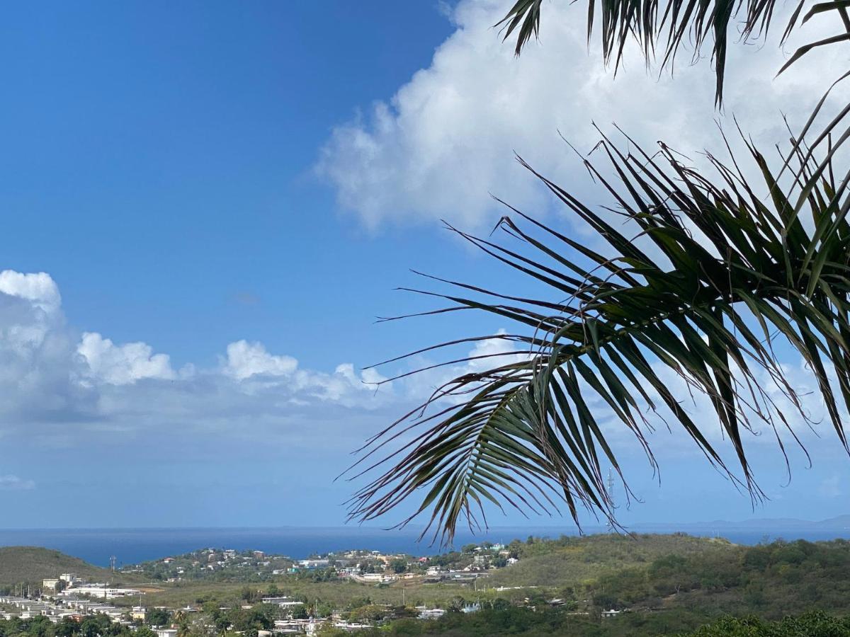 Las Terrazas Los Chivos Vieques Eksteriør billede