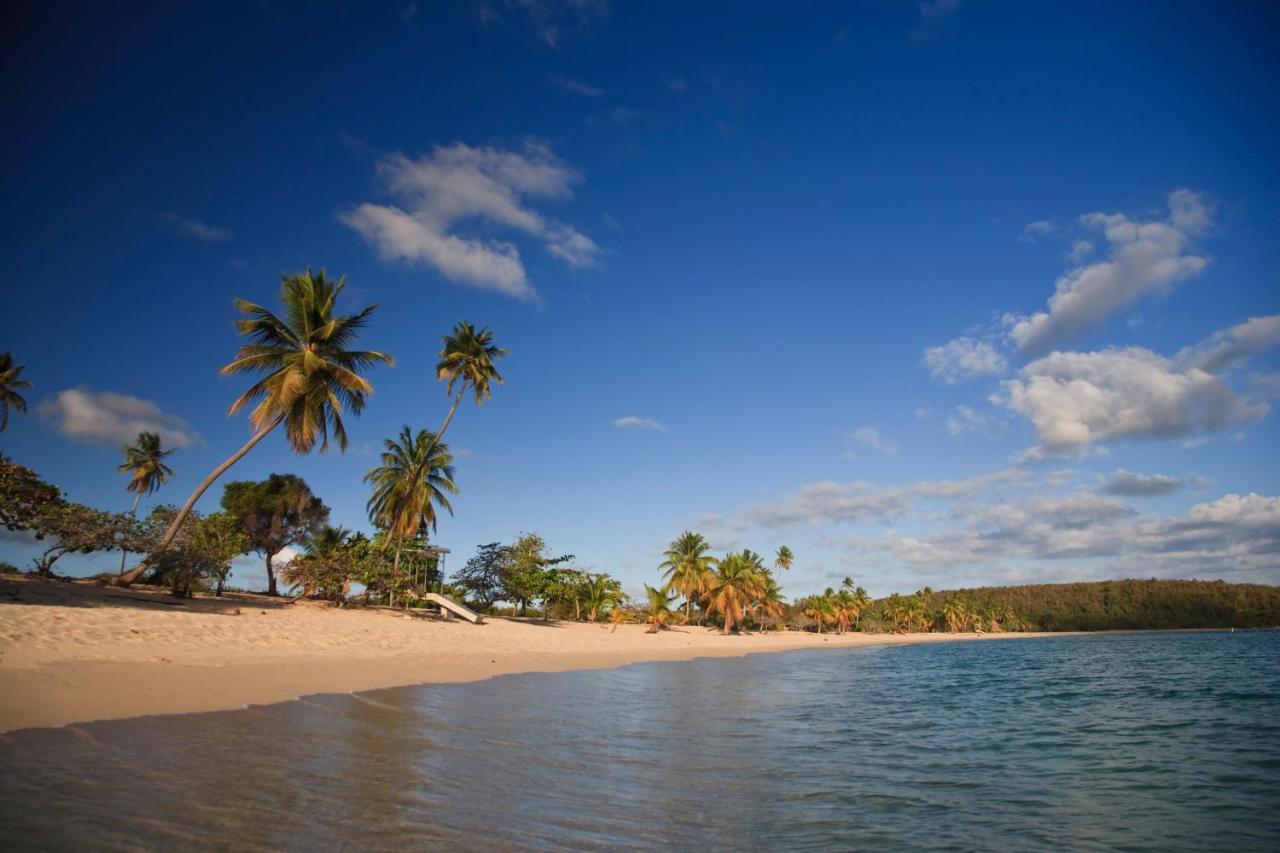 Las Terrazas Los Chivos Vieques Eksteriør billede